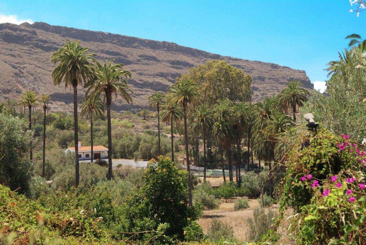 Casa Rural El Olivar La Almazara Santa Lucia De Tirajana Luaran gambar