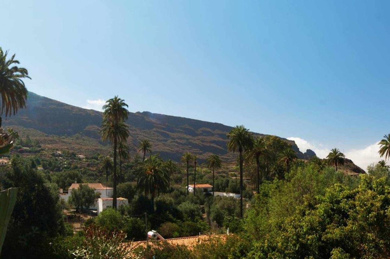 Casa Rural El Olivar La Almazara Santa Lucia De Tirajana Luaran gambar